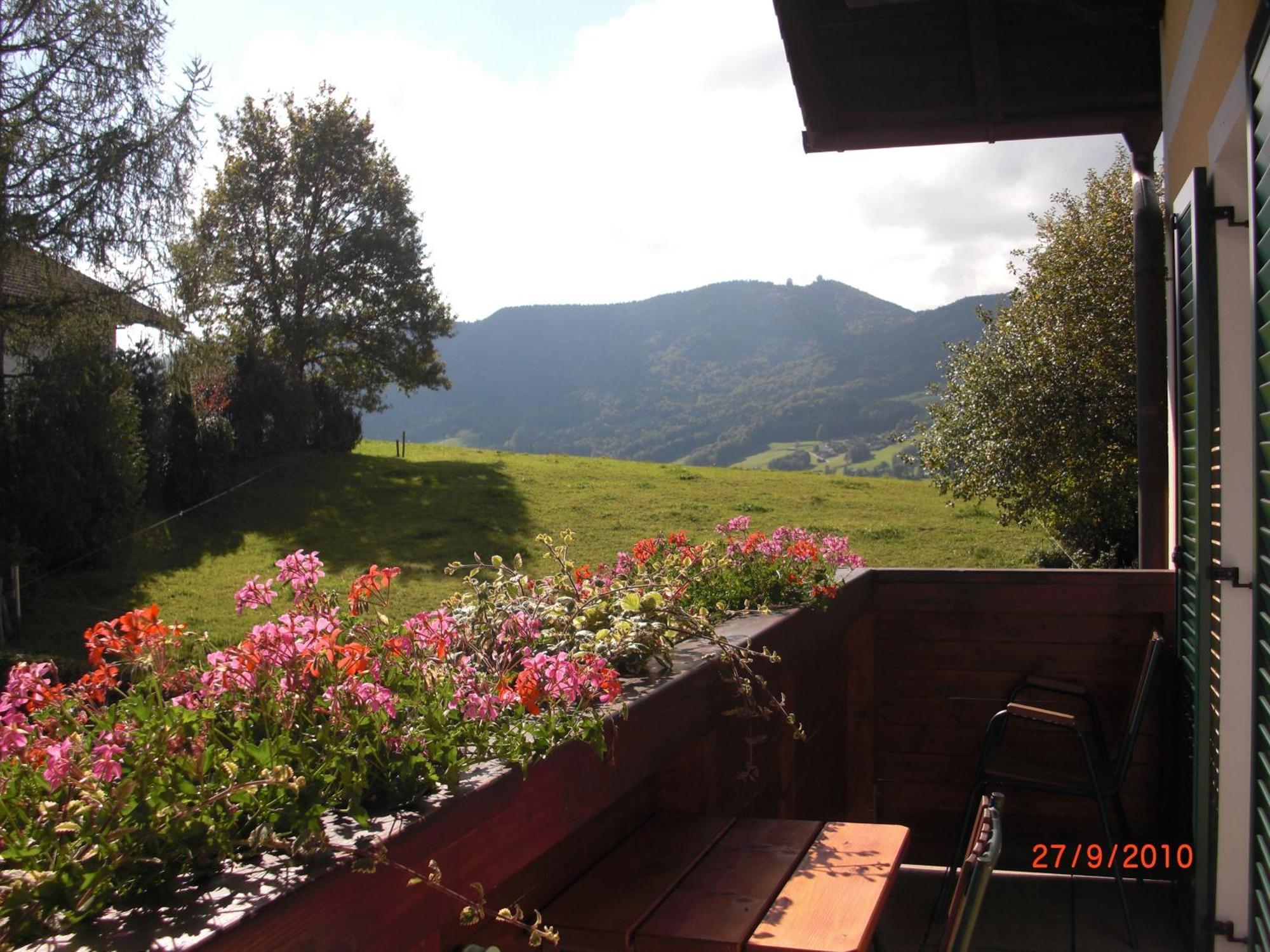 Pension Winter Zell am Moos Exterior foto